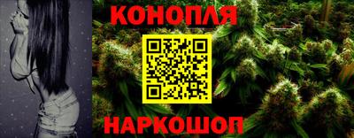 мяу мяу мука Будённовск