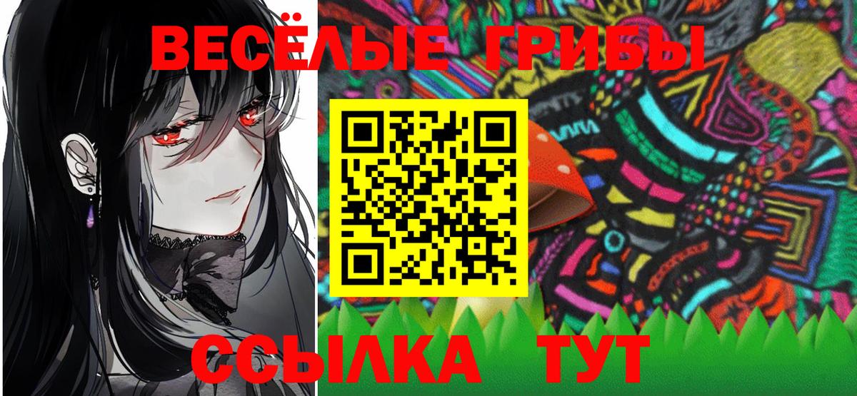 Галлюциногенные грибы Psilocybe Мыски